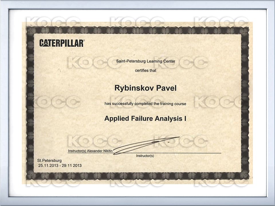 Caterpillar 6